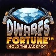 Dwarfs Fortune screenshot