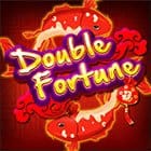 Double Fortune screenshot